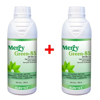 [1+1] Merry Green-85: High Performance Silicon Based Non-Ionic Surfactant