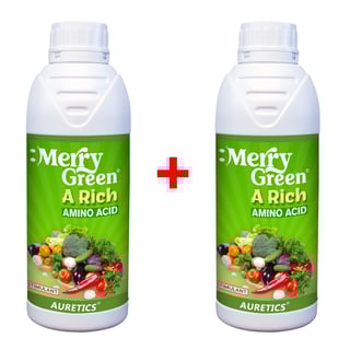 [1+1] Merry Green: A Rich - Amino Acid