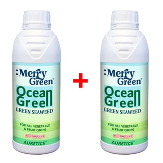 [1+1] Merry Green: Ocean Green Seaweed