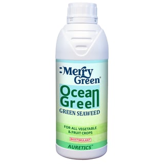 Merry Green: Ocean Green Seaweed