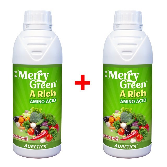 [1+1] Merry Green: A Rich - Amino Acid