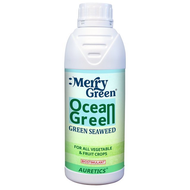 Merry Green: Ocean Green Seaweed